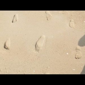 Meet your Posher, Shea